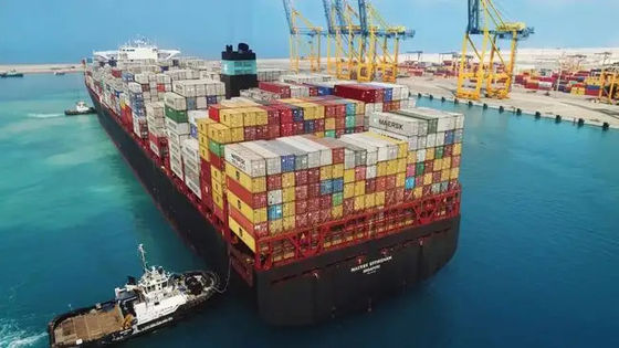 영국 LCL 해상 화물 20GP 40GP LCL 컨테이너 수송에 대한 중국