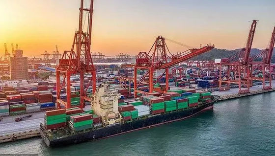 흑해에 대한 20GP 국제적 해상 운송 취급업 중국