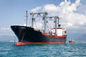 NVOCC 창고업과 교통 물류관리는 안에 항구를 상하입니다