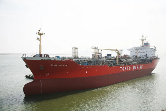세계적 중국 발송자 수출입 국제 화물 해수면 선적