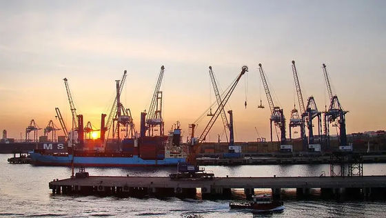 주마다 운반하는 인도 국제적 해상 운송 취급업 해상 화물에 대한 중국